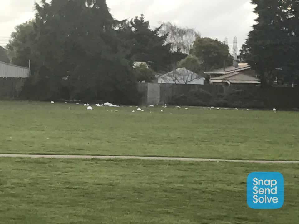 The photograph attached to this dumped rubbish report
