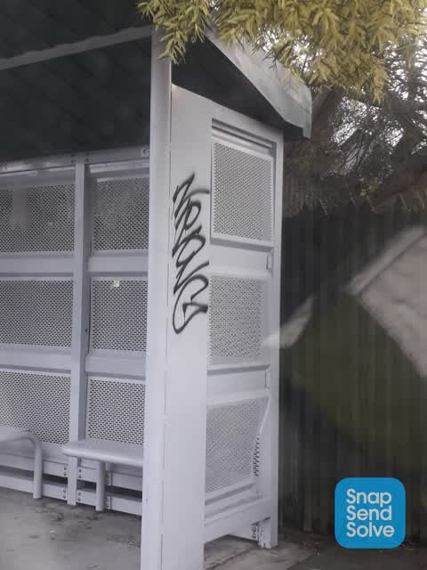 Graffiti, a report photo