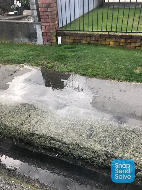Water Leak, a report photo