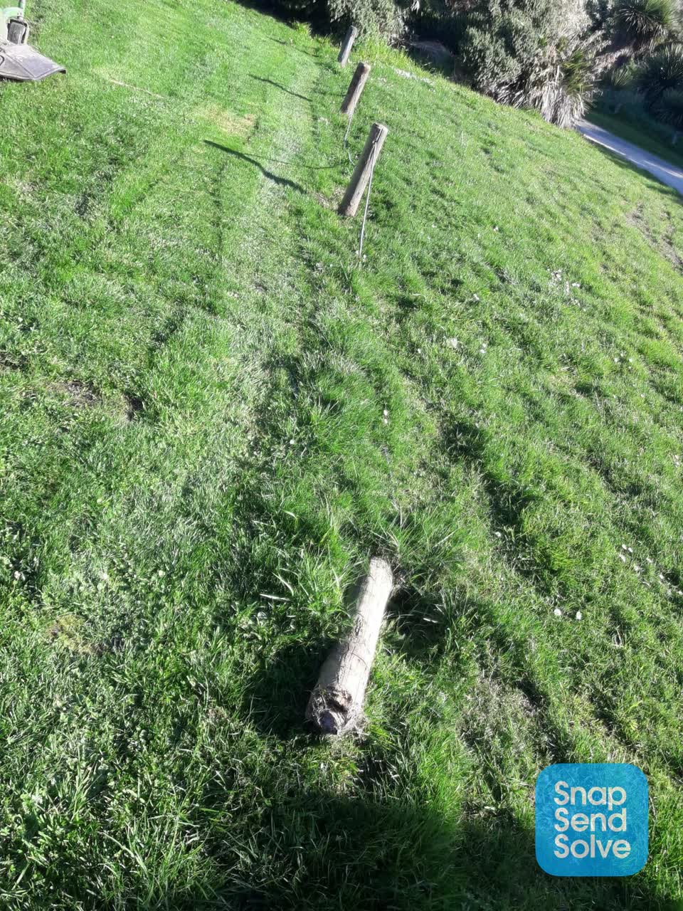 The photograph attached to this park - general request report