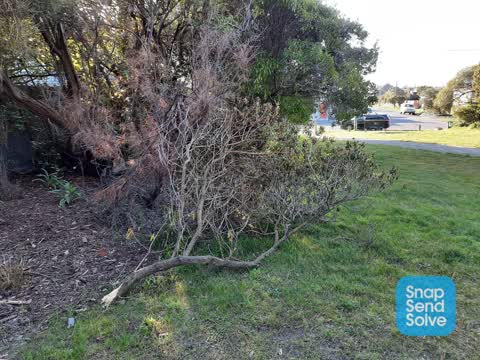 Park - General Request — a report photo