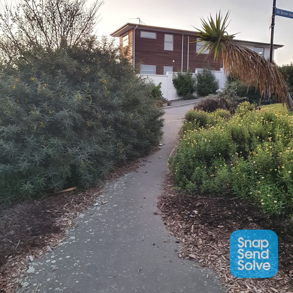 The photograph attached to this overgrown vegetation report