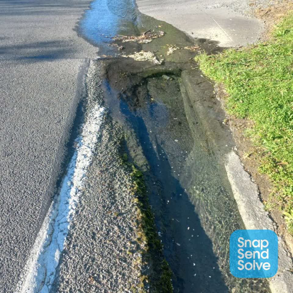 The photograph attached to this street gutters / storm water report