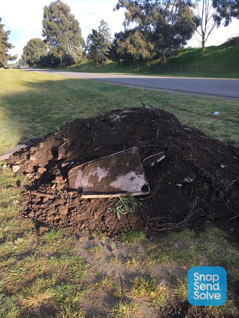 Dumped Rubbish, a report photo