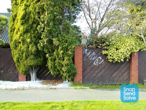 Graffiti, a report photo