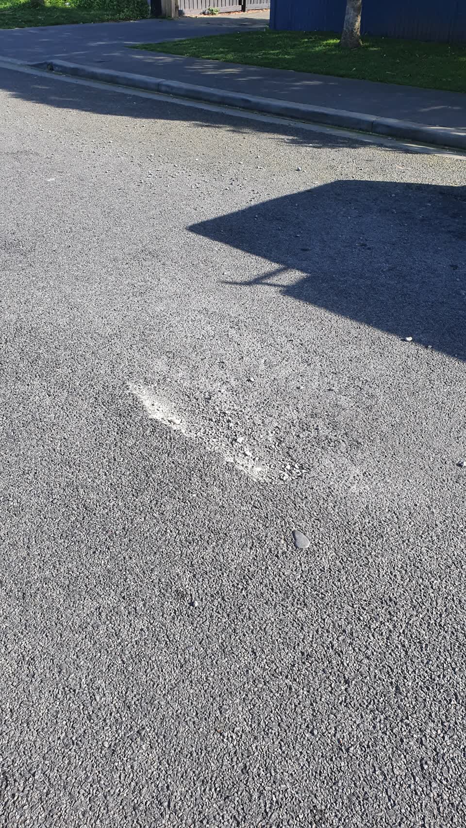 The photograph attached to this damaged road report