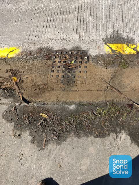 Water Leak, a report photo