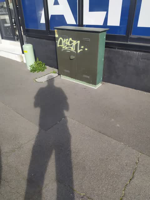 Graffiti, a report photo