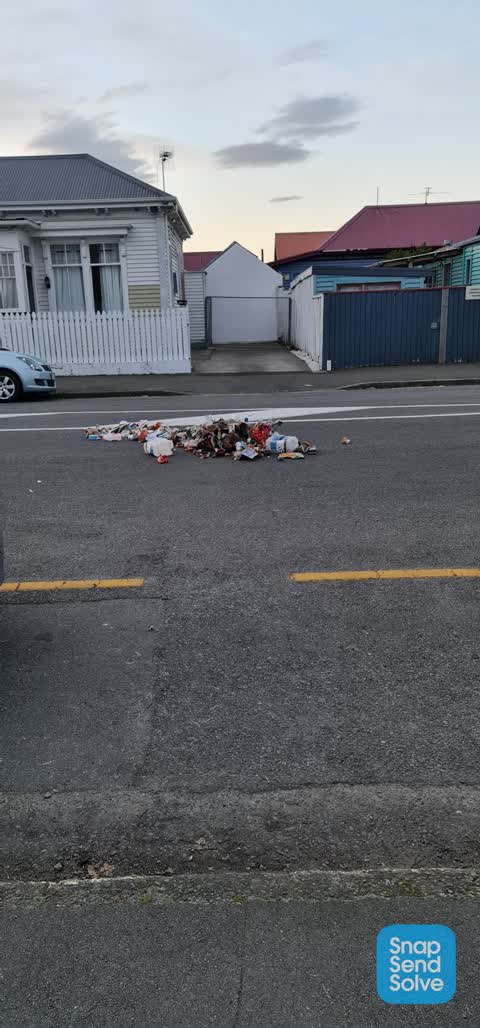 Dumped Rubbish, a report photo