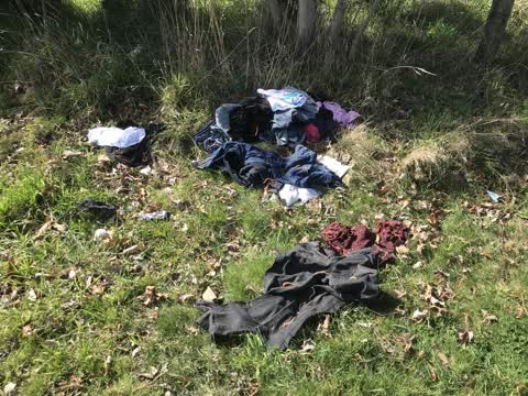 Litter, a report photo
