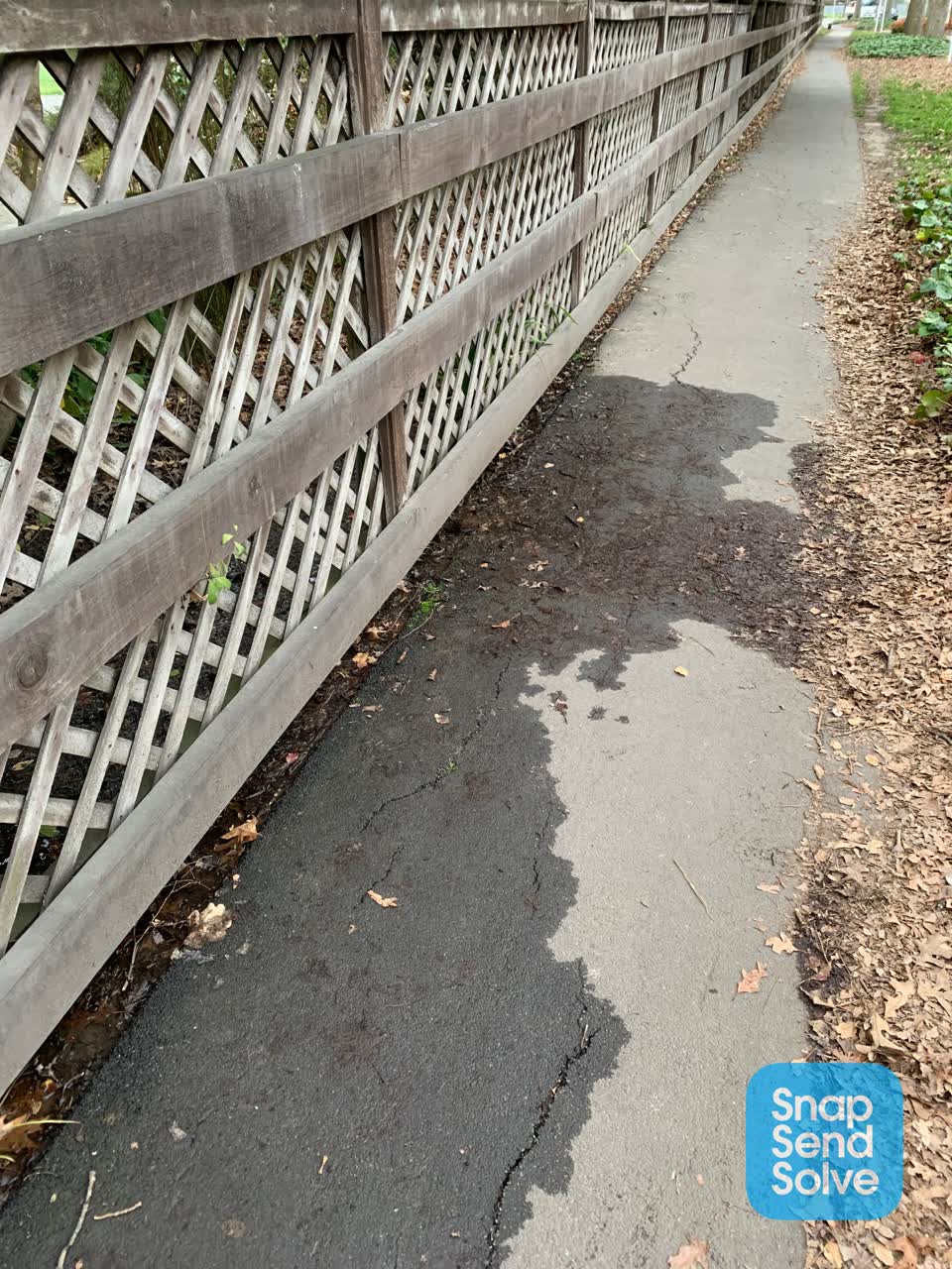 The photograph attached to this water leak report