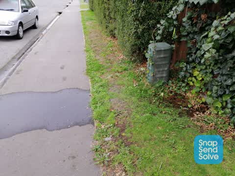Water Leak, a report photo