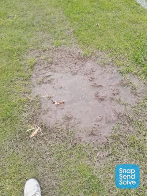 Park - General Request, a report photo