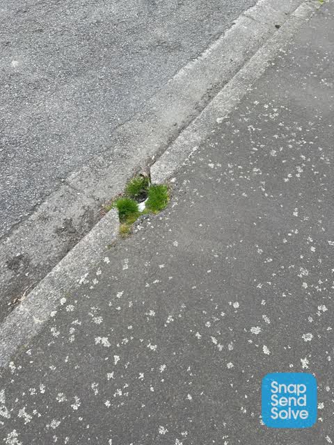 Street Gutters / Storm Water, a report photo