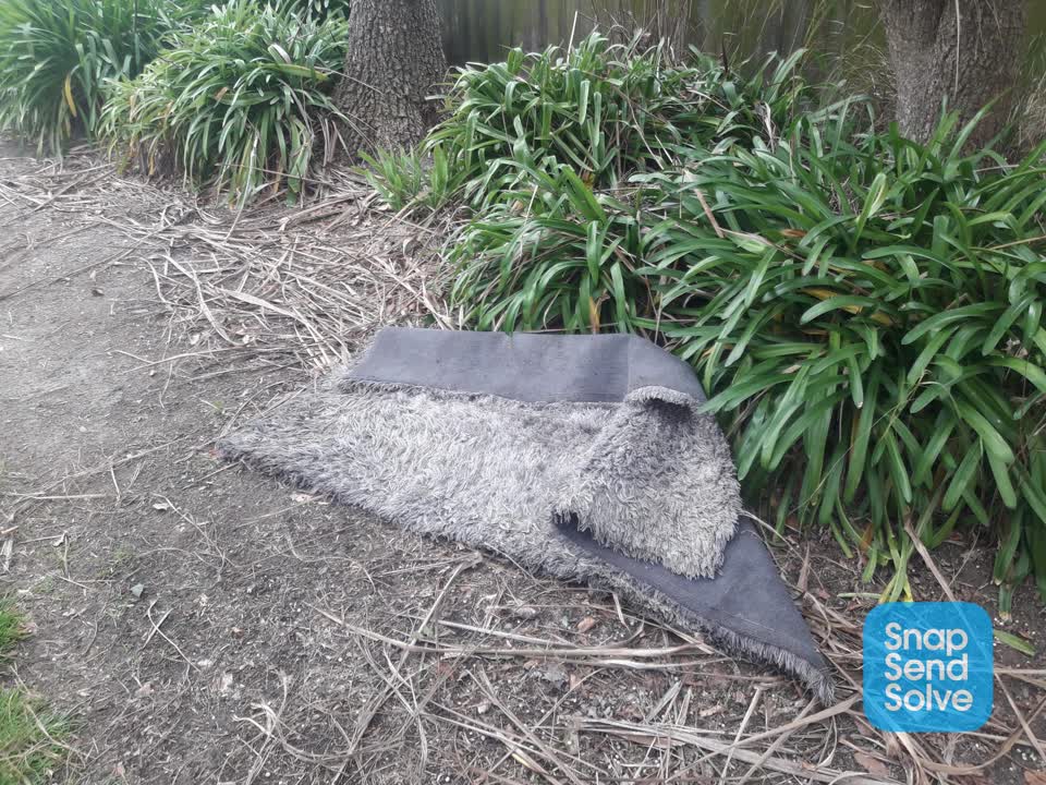 The photograph attached to this dumped rubbish report
