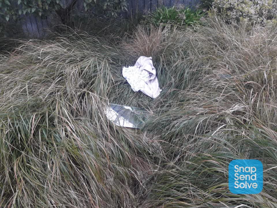 The photograph attached to this dumped rubbish report