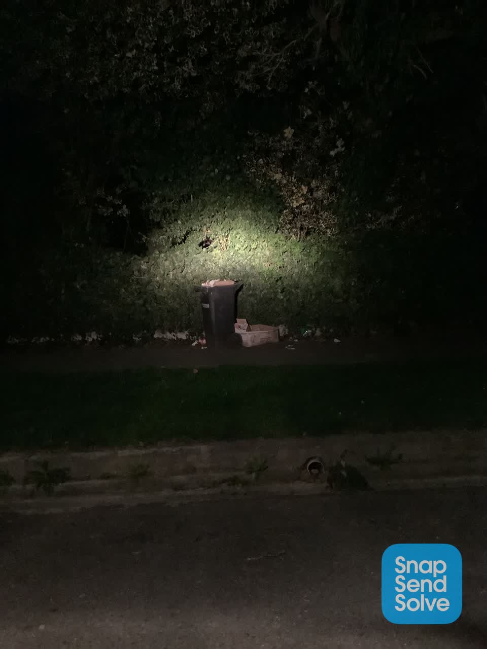The photograph attached to this dumped rubbish report