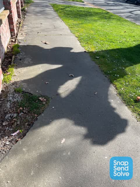 Pavement - Damaged, a report photo