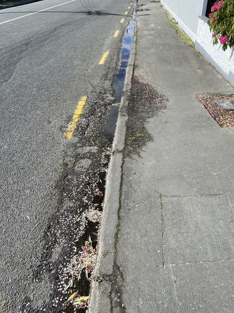 Water Leak, a report photo