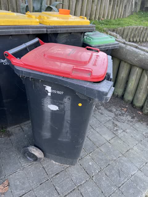 Rubbish and Bins - General — a report photo