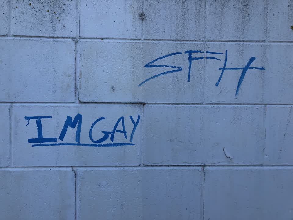 The photograph attached to this graffiti report