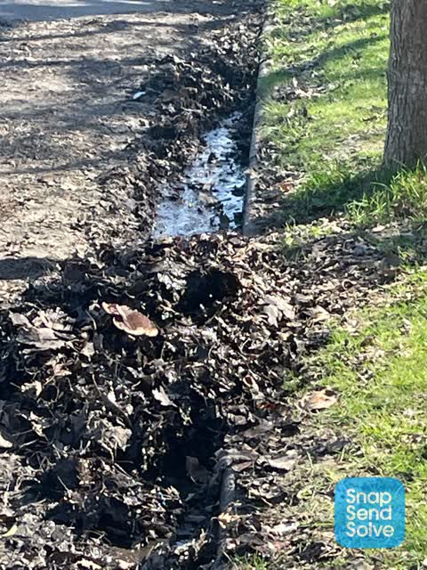 Street Gutters / Storm Water, a report photo