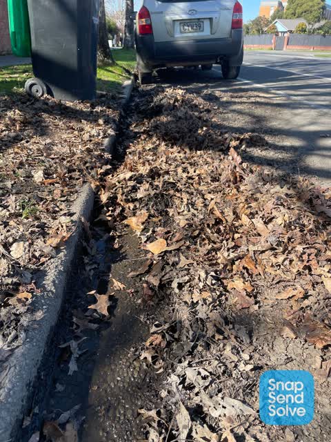 Street Gutters / Storm Water, a report photo