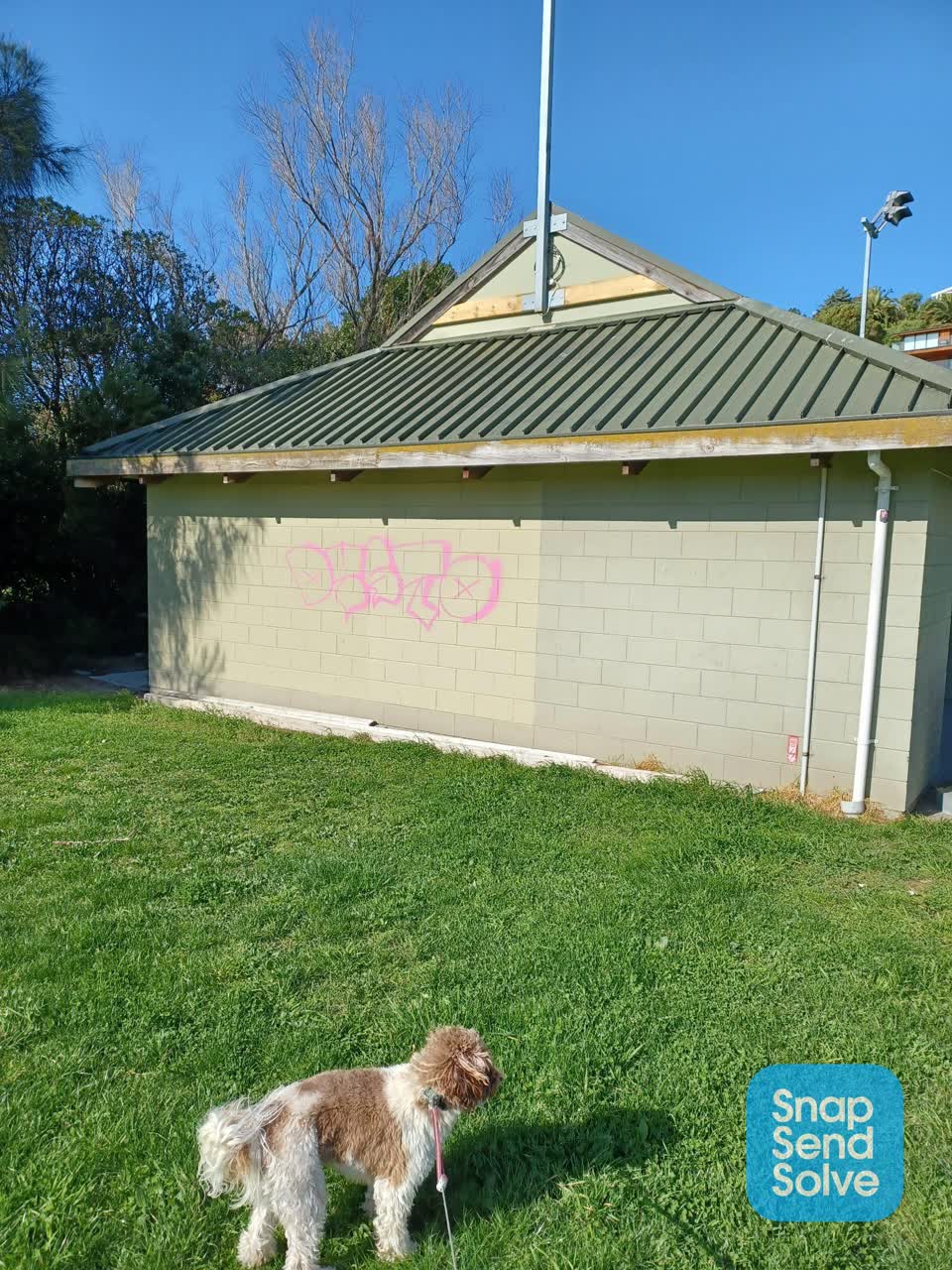 The photograph attached to this graffiti report