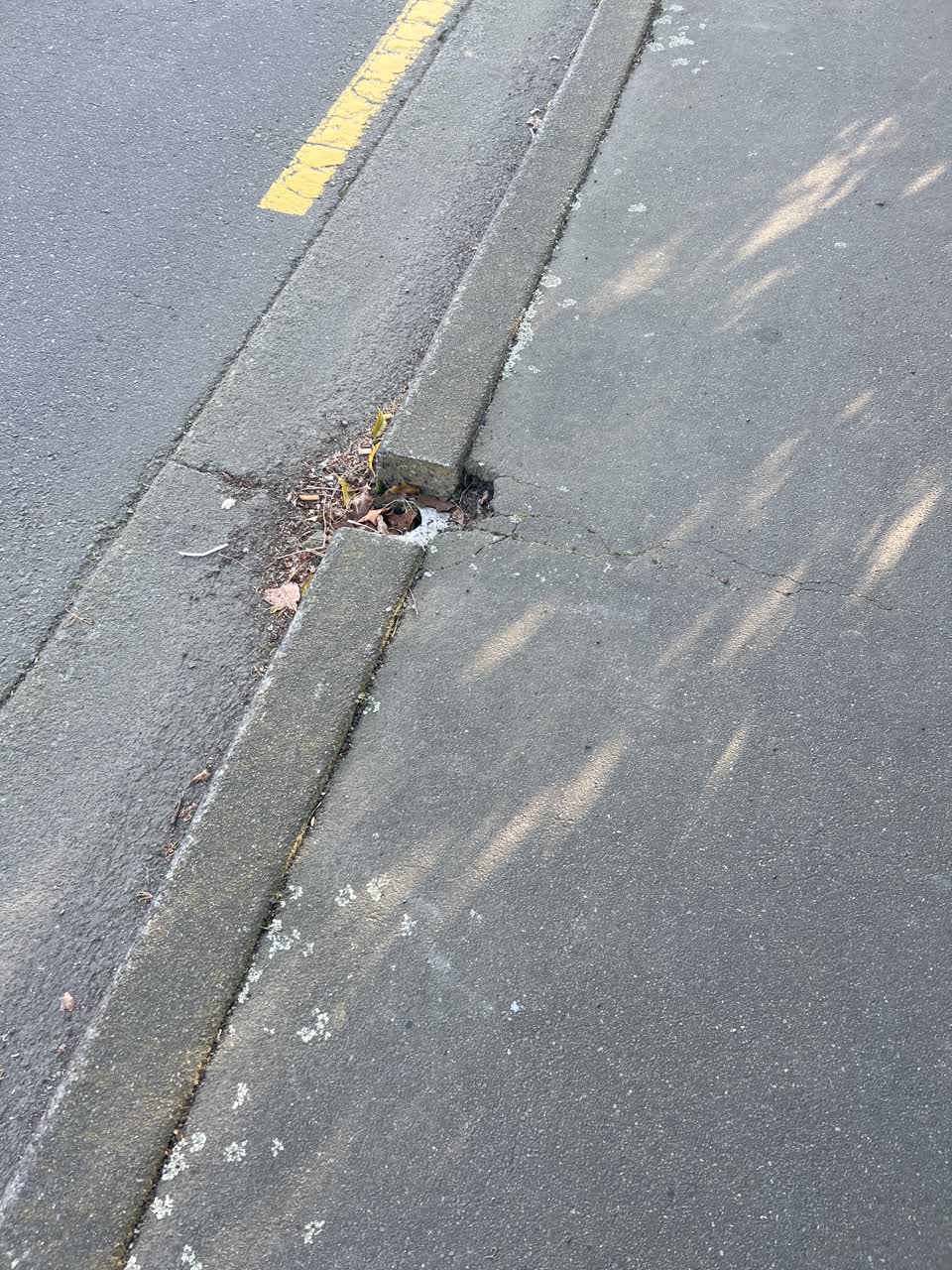 The photograph attached to this pavement - damaged report