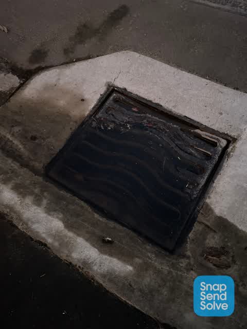 Street Gutters / Storm Water, a report photo