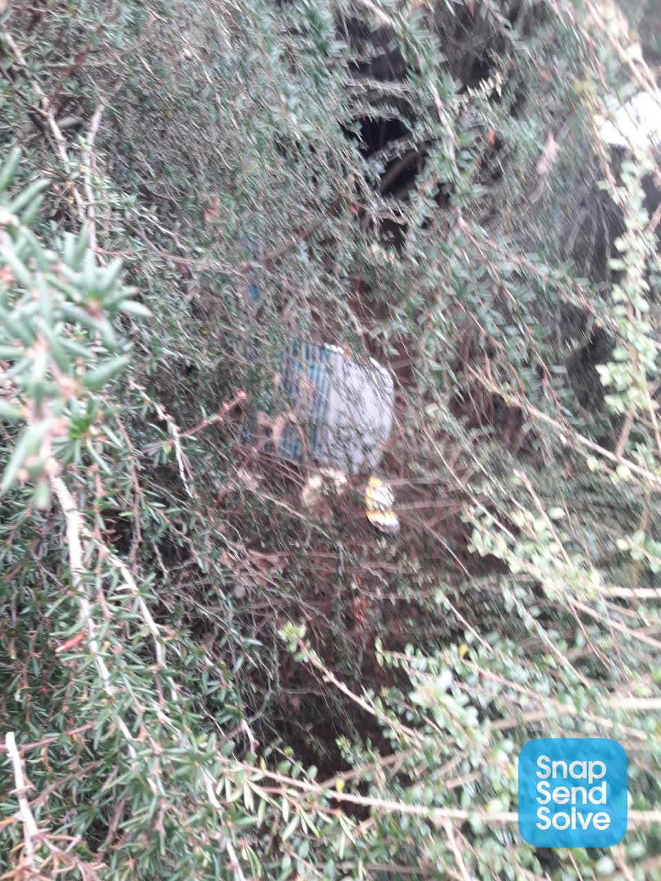 The photograph attached to this dumped rubbish report