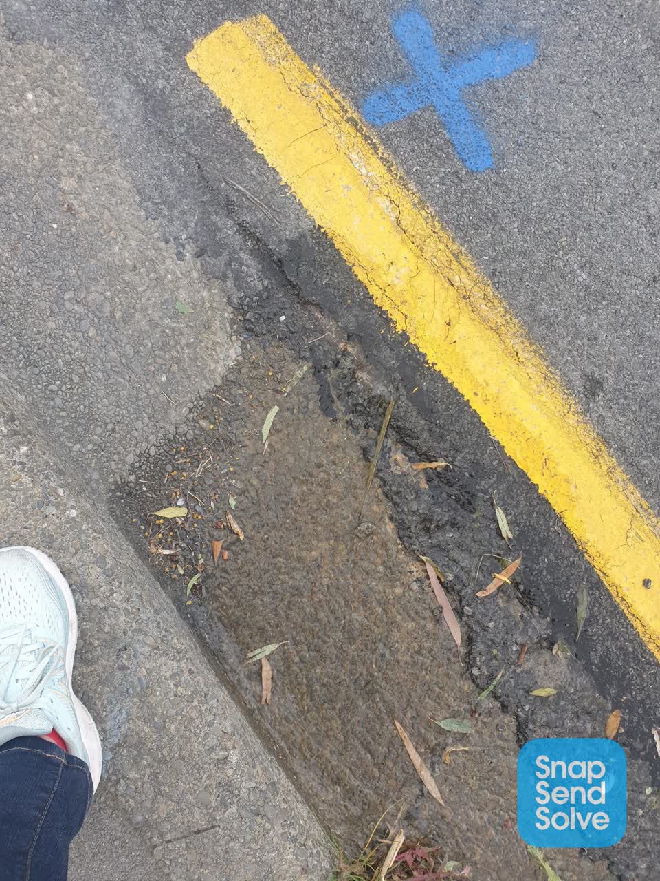 The photograph attached to this water leak report