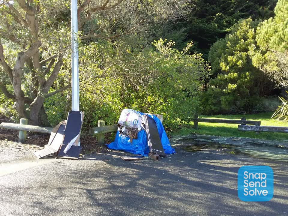The photograph attached to this rubbish and bins - general report