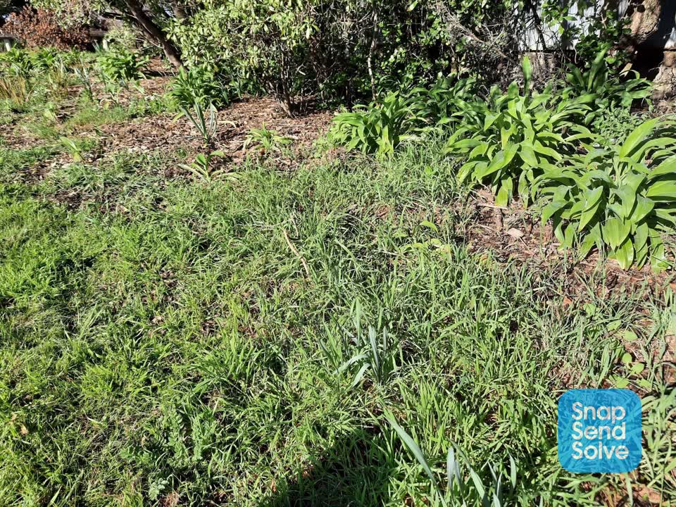 The photograph attached to this park - general request report