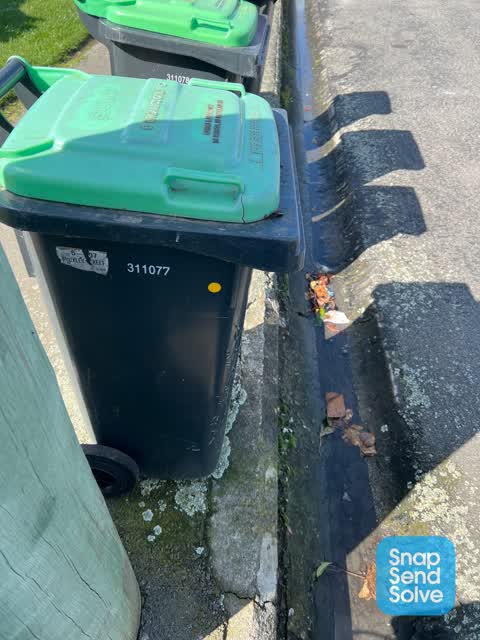 Rubbish and Bins - General — a report photo