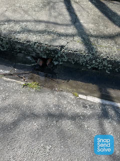 Street Gutters / Storm Water, a report photo