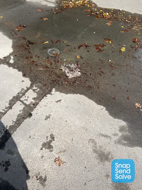 Water Leak, a report photo