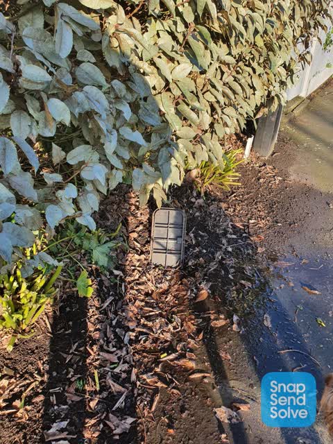 Water Leak, a report photo