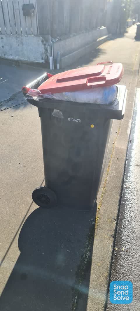 Rubbish and Bins - General, a report photo
