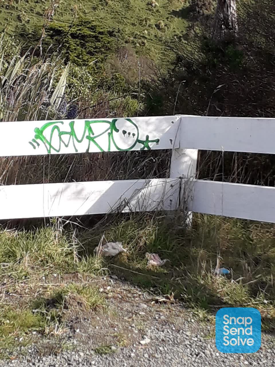 The photograph attached to this graffiti report
