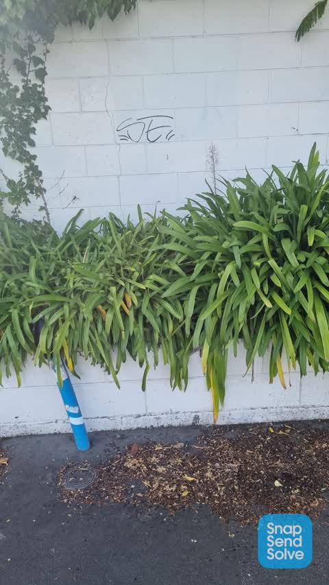 Graffiti — a report photo