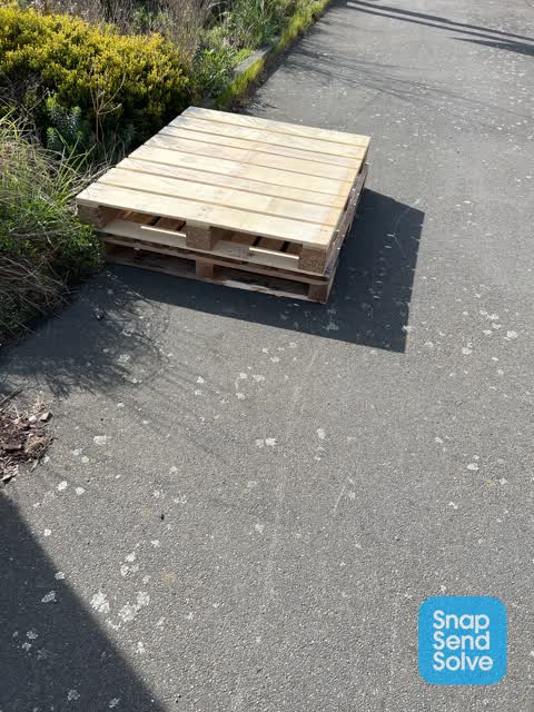 Dumped Rubbish, a report photo