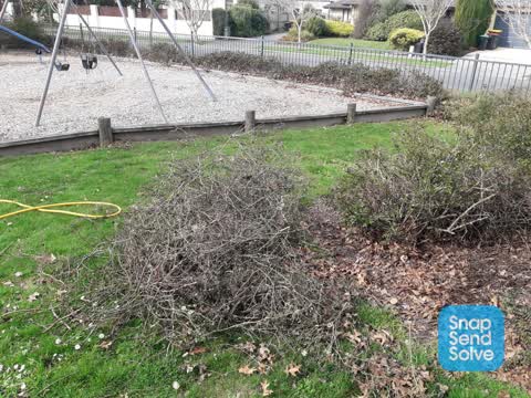 Park - General Request, a report photo