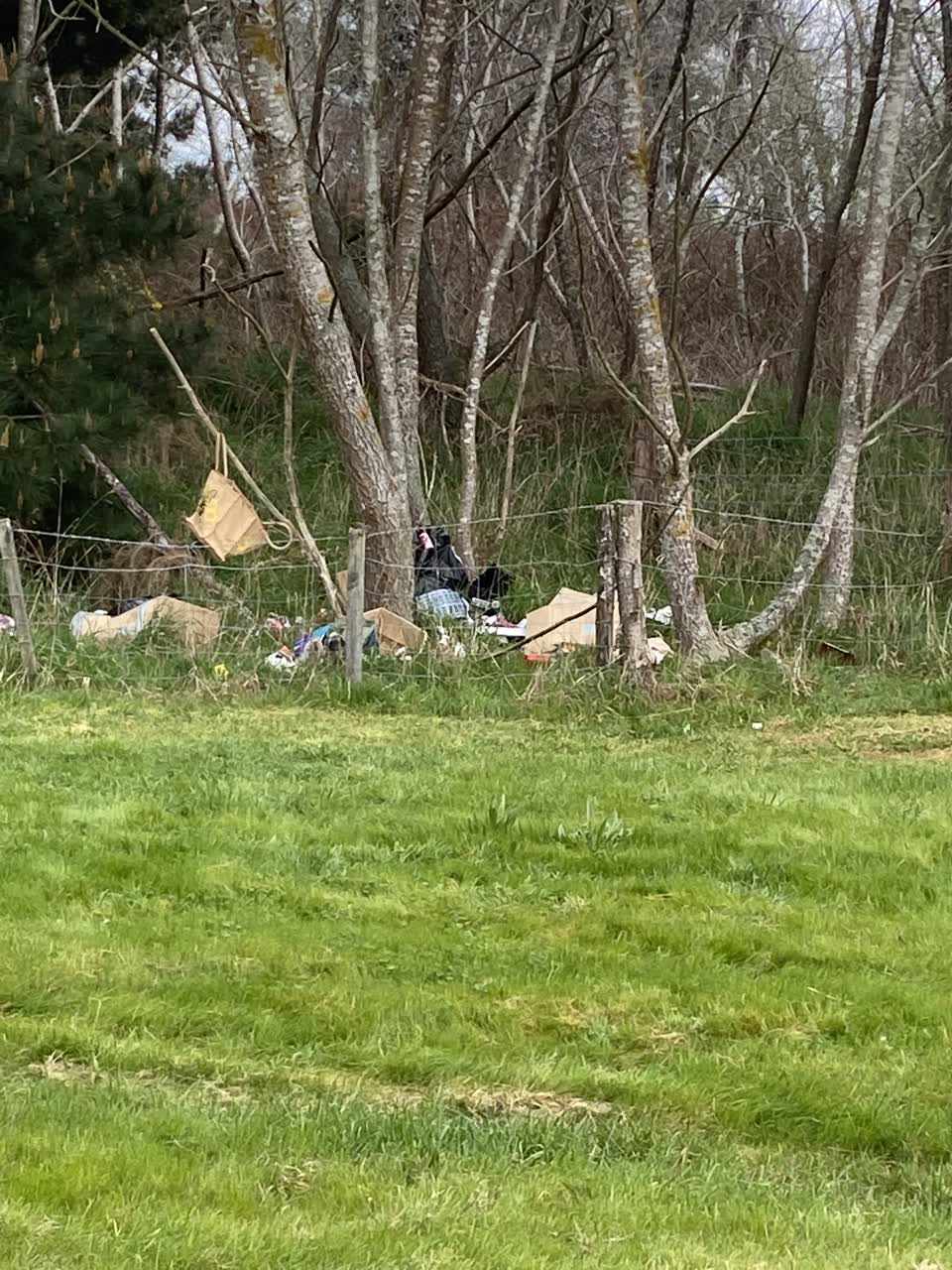 The photograph attached to this dumped rubbish report
