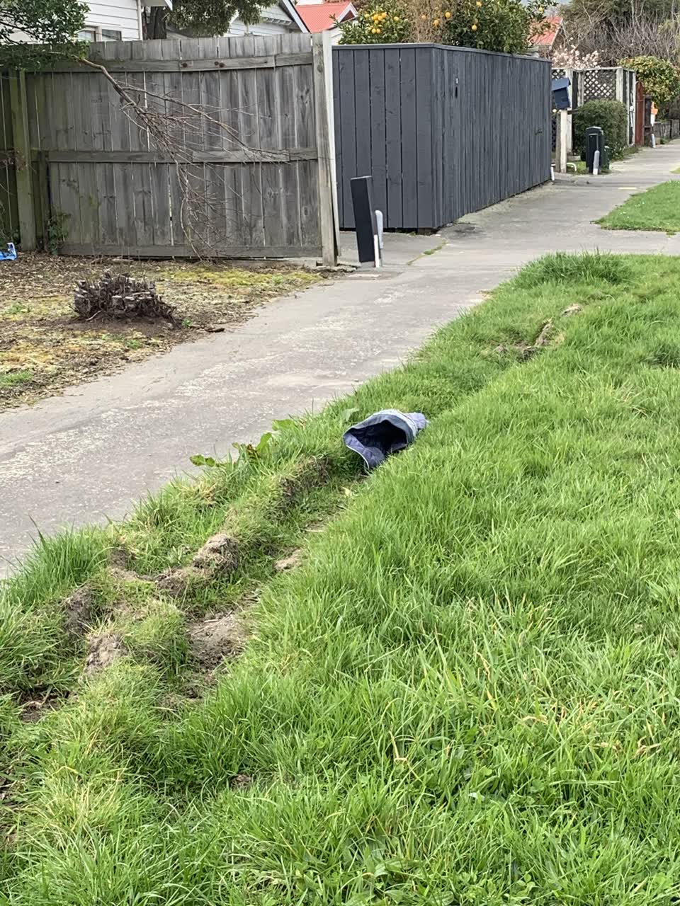 The photograph attached to this rubbish and bins - general report