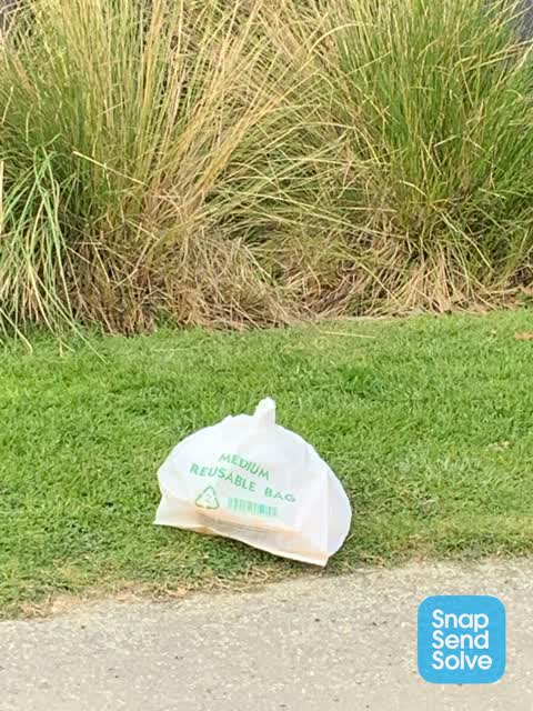 Dumped Rubbish, a report photo