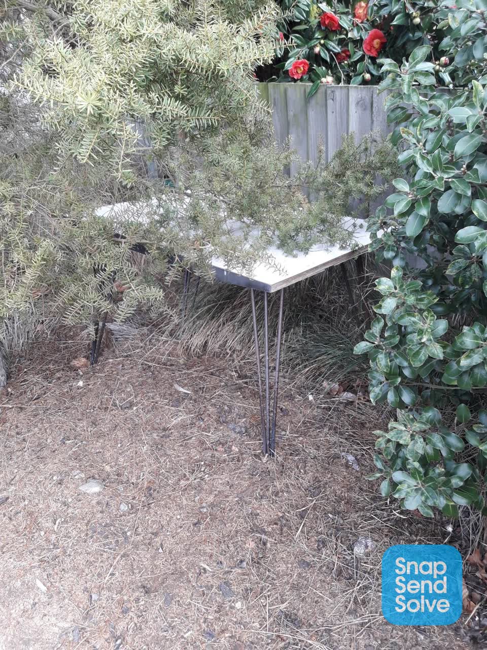 The photograph attached to this dumped rubbish report
