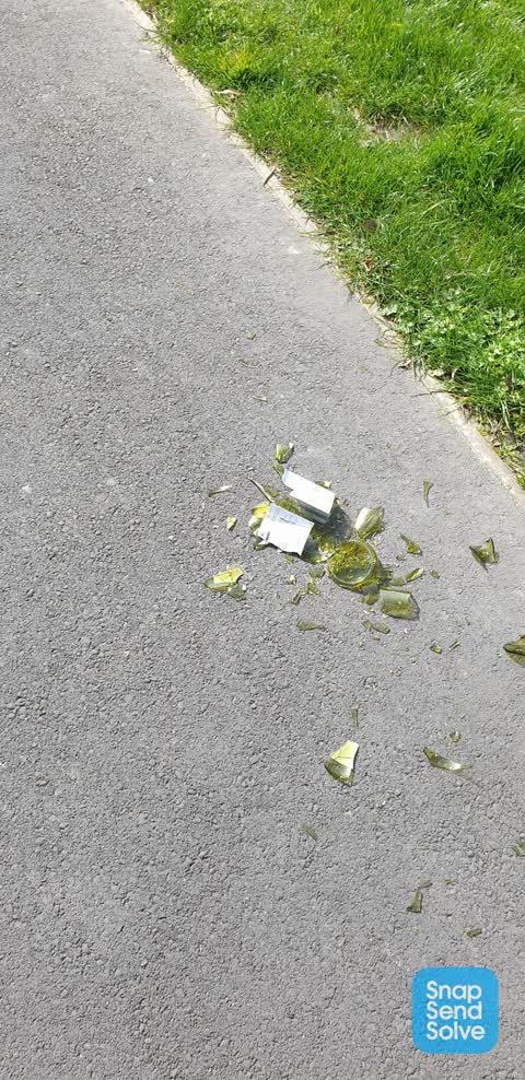 Litter, a report photo