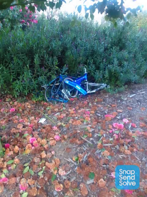 Dumped Rubbish, a report photo