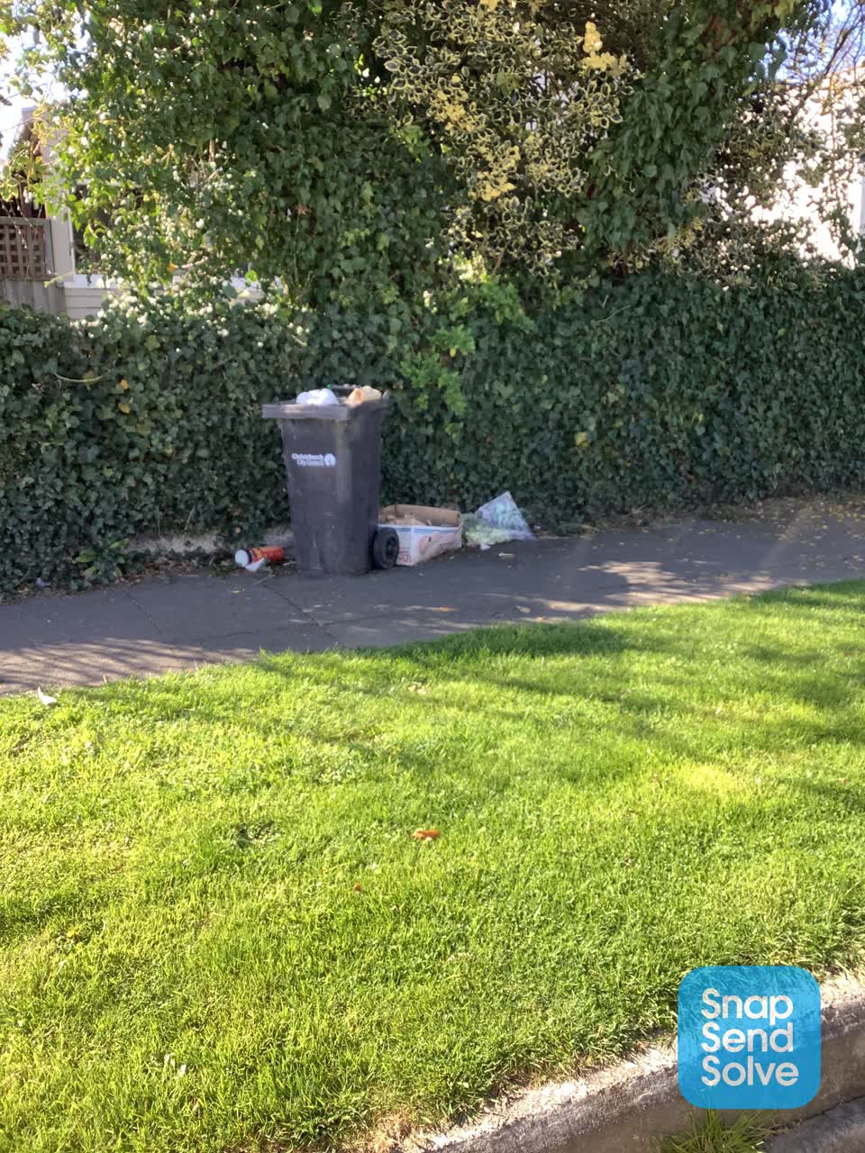 The photograph attached to this dumped rubbish report